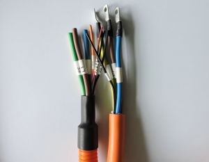 帶膠熱縮管在汽車線束上的